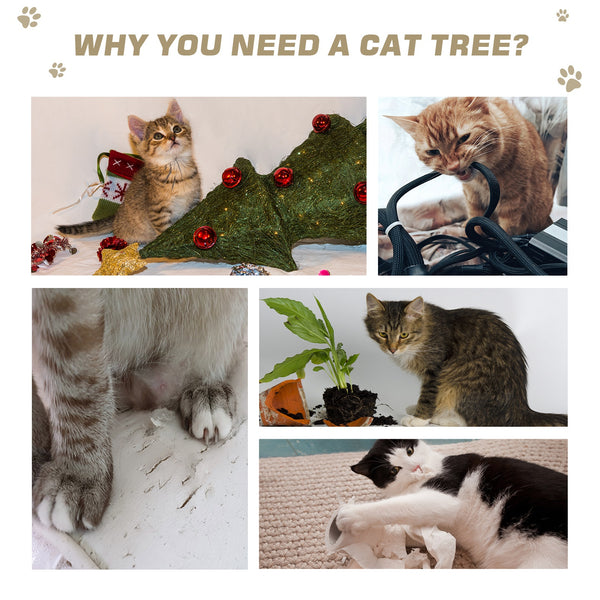 79" Cat Tree Condo Activity Centre