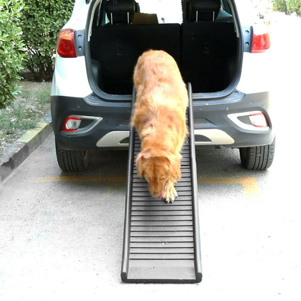 Portable Folding Pet Ramp - Black