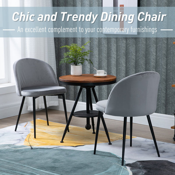 2pc Modern Dining Chairs