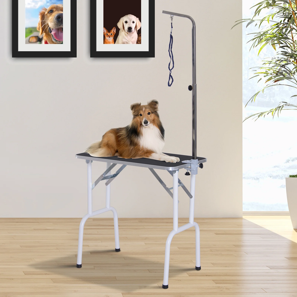 Foldable Pet Grooming Table w/ Adjustable Arm