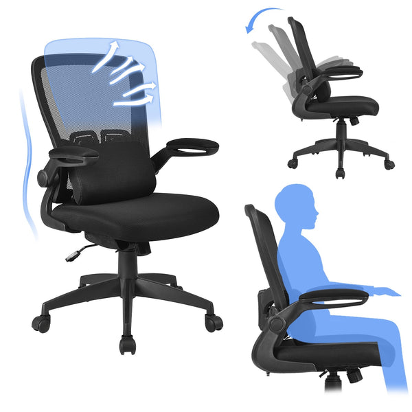 Ergonomic Desk Chair with Lumbar Support - Black